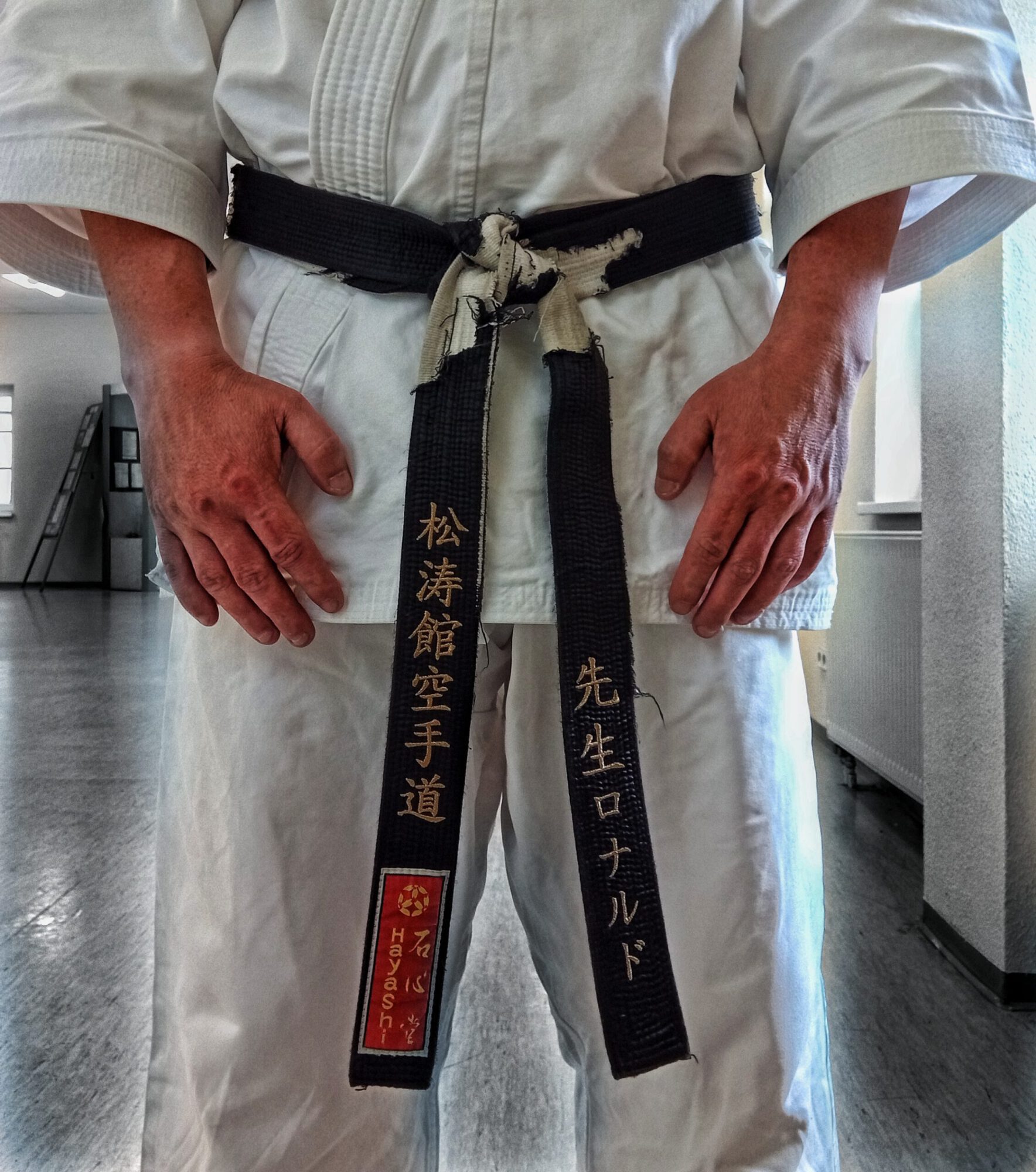 Du betrachtest gerade Was bzw. Wer ist der Sensei?