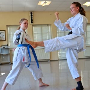 Mehr über den Artikel erfahren > „Vom Schwarzgurt zum Meister“ <